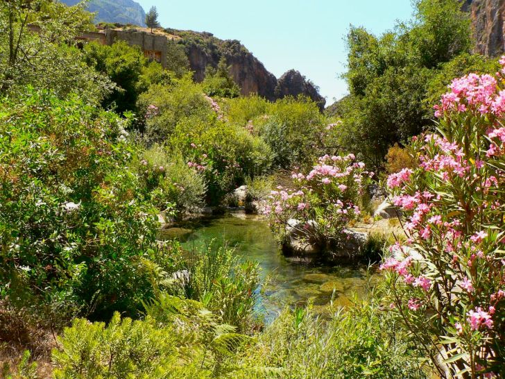 Scientists make excellent photographers! A river in the Rif region (Morocco) by BioFresh scientist Núria Bonada