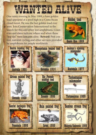 Raiders of the Lost Frogs