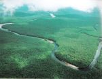 Orinoco river