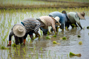 Ecosystem_Services_People