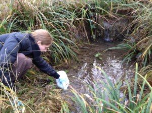 River sampling in action.