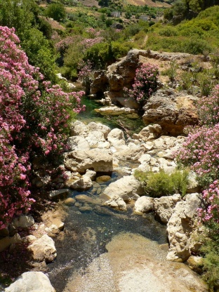 Mediterranean rivers and streams are unique both in their climatic conditions and their biodiversity. Photo courtesty Núria Bonada
