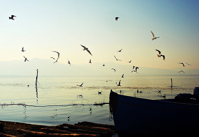 Image Source: UNDP in Europe and Central Asia (CC BY-NC-SA 2.0) 