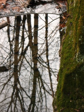 4757895529_2fd671409b_z