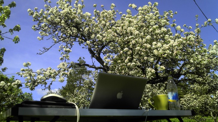 A Swedish spring: the perfect working environment (photo: Sebastian Birk)