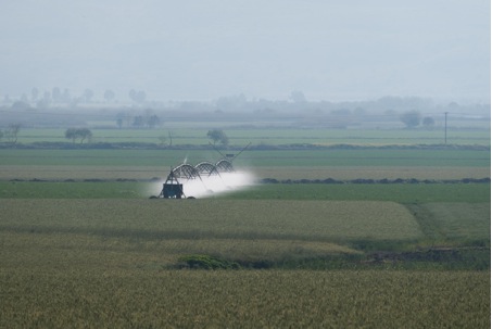 Intensive irrigation  to grow wheat, vegetables and fruits in Israel - well-known products from the home supermarket. (Image: Christian Feld)