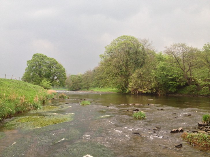 River Ribble, Lancashire.  Image: RSJ
