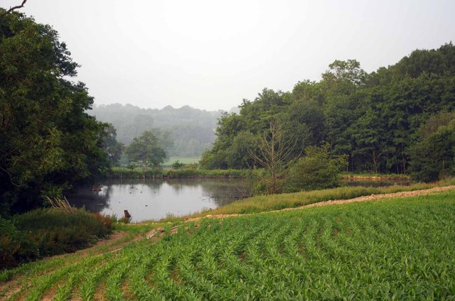 Pond in farmland, West Sussex.    © Copyright Glyn Baker and licensed for reuse under this Creative Commons Licence