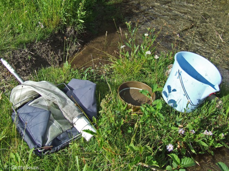 Typical freshwater sampling kit for invertebrates: can new technologies help make this process more efficient?  Image: Tatiana Gettelman | Flickr CC