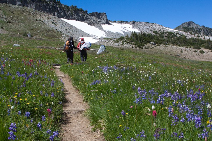 7714943704_4b98a11101_k