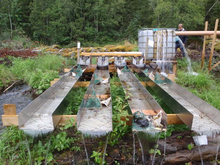 The experimental flumes in action.  Image: Susi Schneider