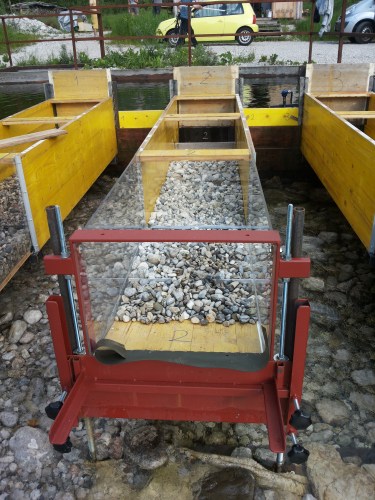 Mesocosms on the experimental channels. Image: Lisa Schülting