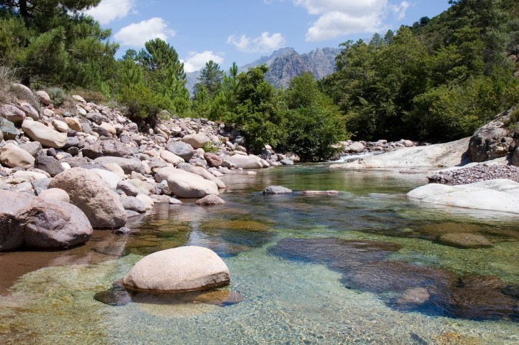 226407136_e027819e7e_b