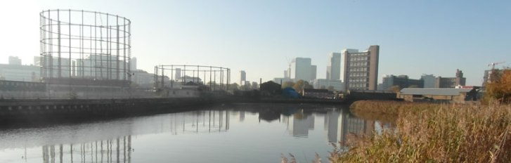 Cody-Reed-Bed_banner