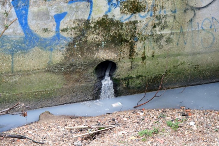 Pollution running into the Salmon's Brook, a tributary of the Lea.  Image: Ben Fenton