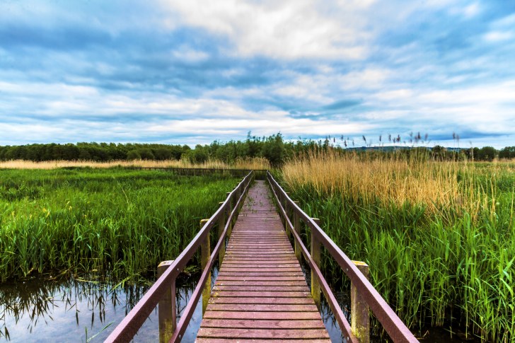 17910020498_be9dd74ee4_k