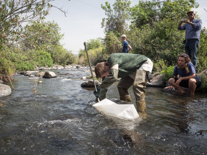 CKFeldPhotography1000px11. März 201520150311__CKF3449_Israel_2744554