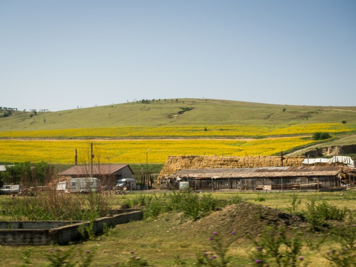 20150717__CKF4318_unbenannt_28850