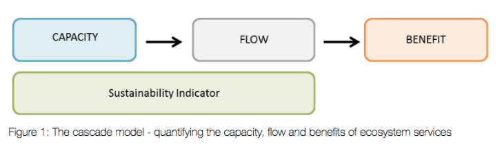 Screen shot 2015-08-10 at 11.10.07