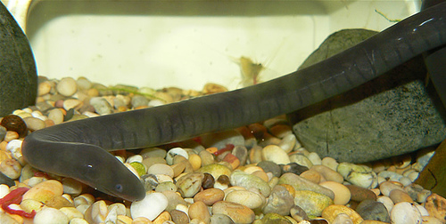 427294220_ec9d19dae4_z