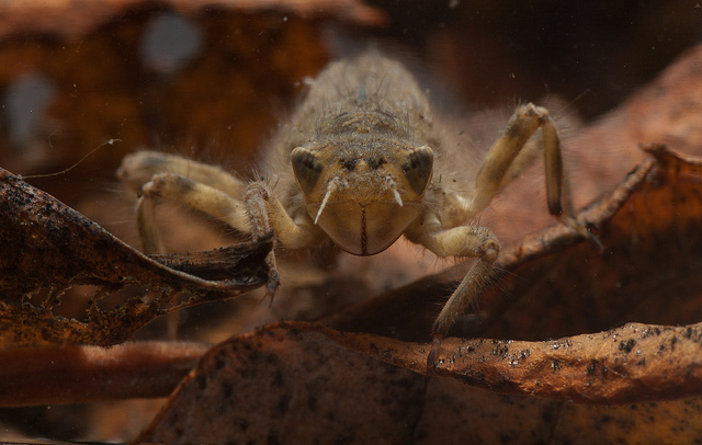 5056657036_6cca1dd85b_z