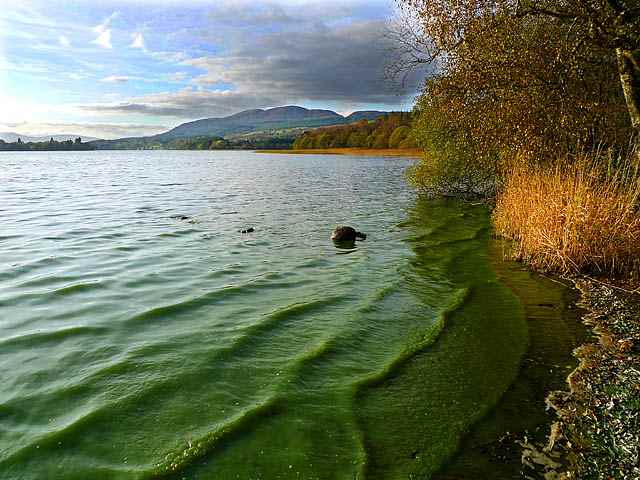 geograph-1540471-by-Dr-Richard-Murray