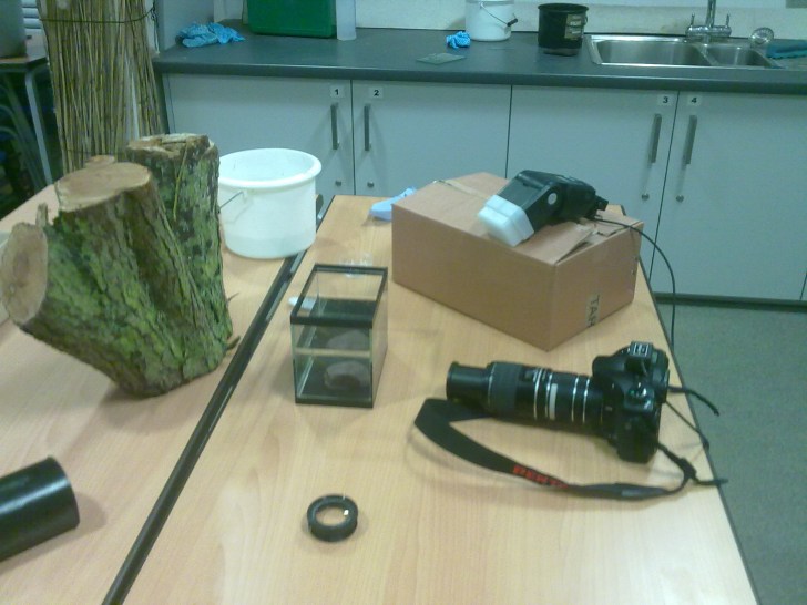 Tank set up for photographing underwater life.  Image: Neil Phillips