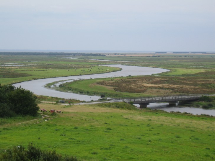 The River Skjern, the largest river in Denmark, and another sampling site.  Image: Wikipedia