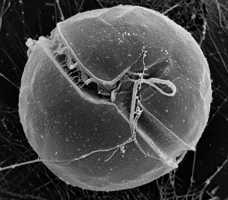 8630628959_e7148a1639_h