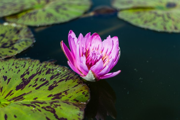 8698613975_289654ba06_k