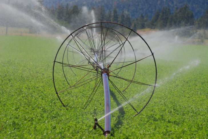 irrigation CC Brad Smith Flickr - Prov Sevices