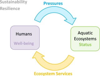 1-s2.0-S1462901116300892-gr1