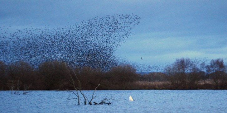 5422808891_ee9aabcc3c_b