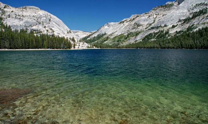 12179166526_3c47f4aada_k