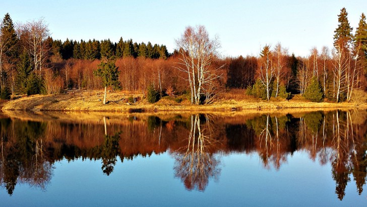 13110847165_d8ba95d704_b