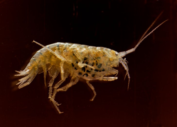 26300355582_221564373d_k