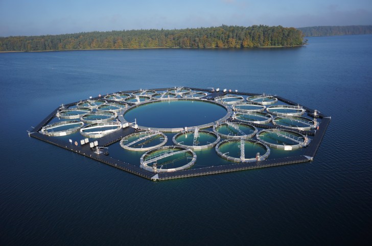 3.Luftbild_Seelabor_© HTW Dresden-Oczipka