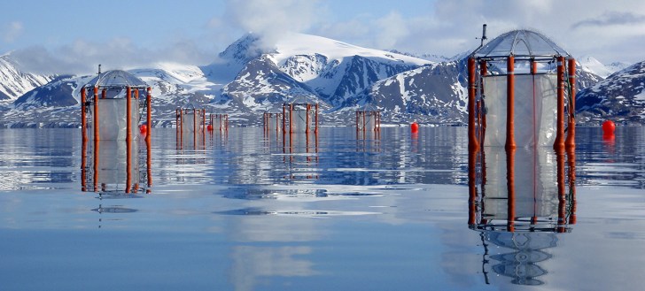 KOSMOS_Spitzbergen-2010_Signe-Klavsen-72dpi