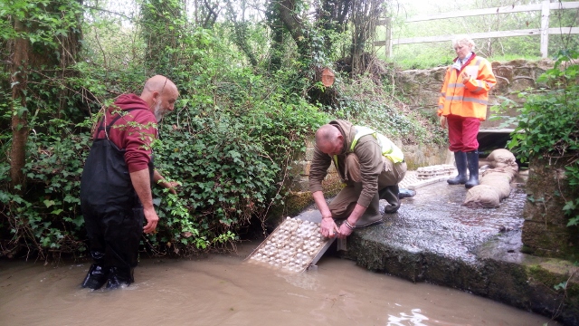 IMG_20170421_112547 (640x360)