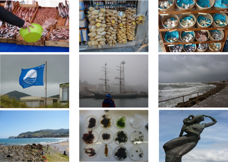 Marine Ecosystem Services