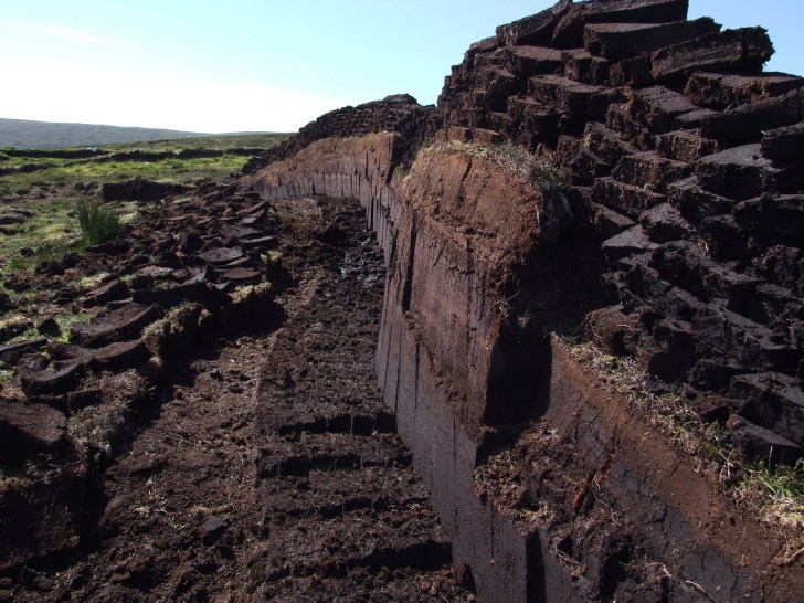 14356674108_368cf7f8ef_k