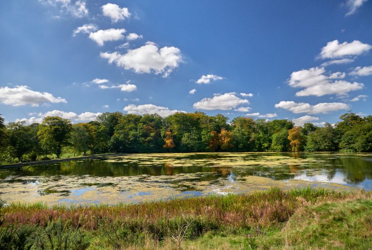 36576955094_8ced5aefcd_k