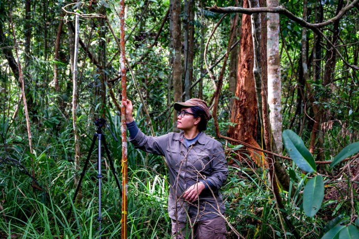 39961511571_b9aab24b4d_k