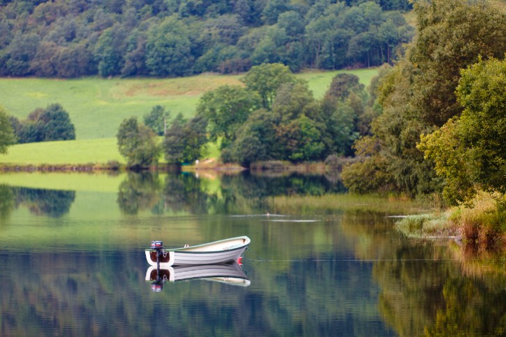 5627331548_b6675e75b3_o