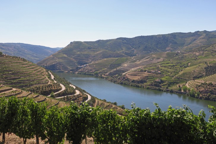 36145532060_de24df73ae_k