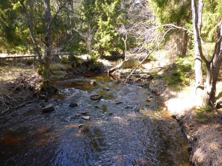 Image1_Jumkil_US_Spring