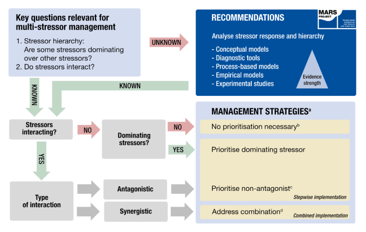 MARS Qs for stressor management