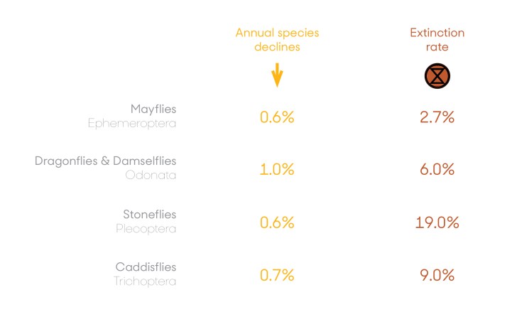 freshwater insect declines and extinctions 2019