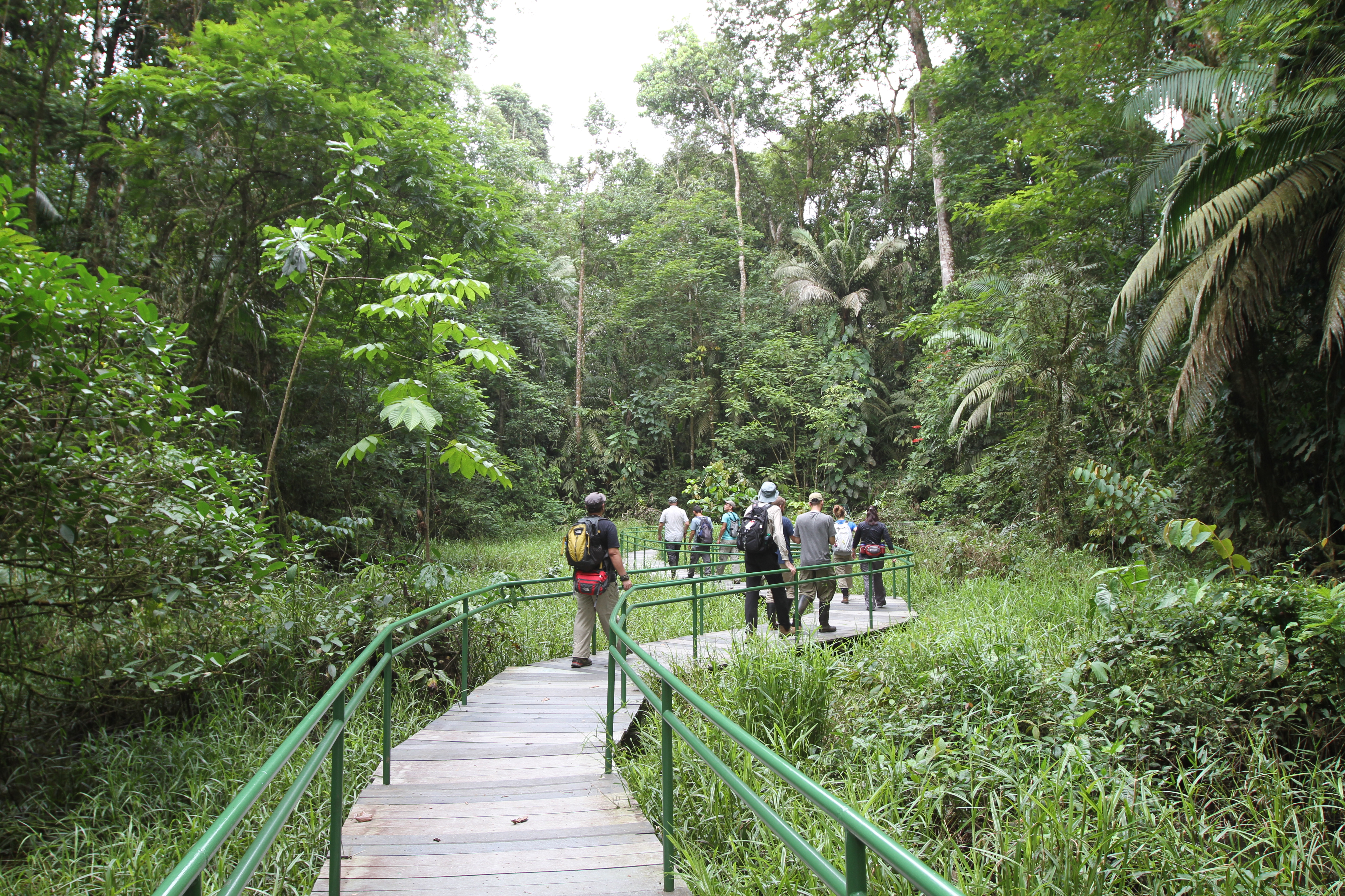 Study_site_in_La_Selva