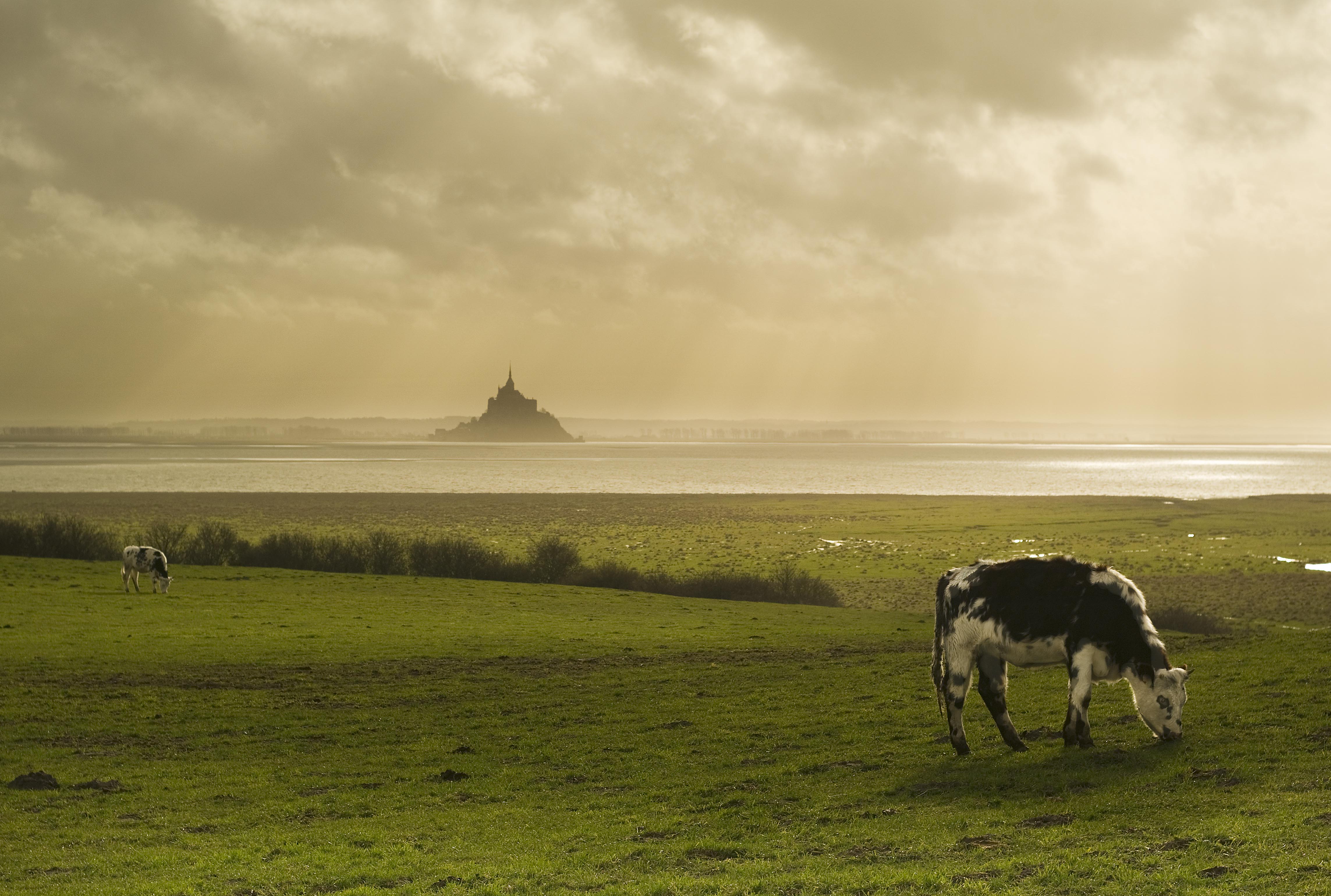 Mont St Michel at the estuary of the Sélune River